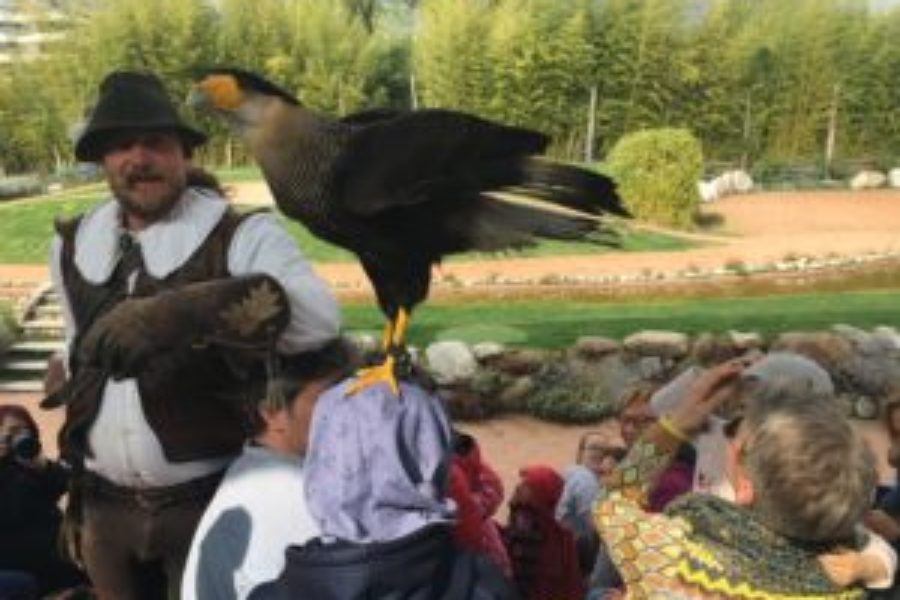 Visita alla Falconeria Locarno