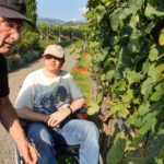 Vendemmia festiva – 30 anni Telethon SI + 70 anni Cantina Sociale di Mendrisio