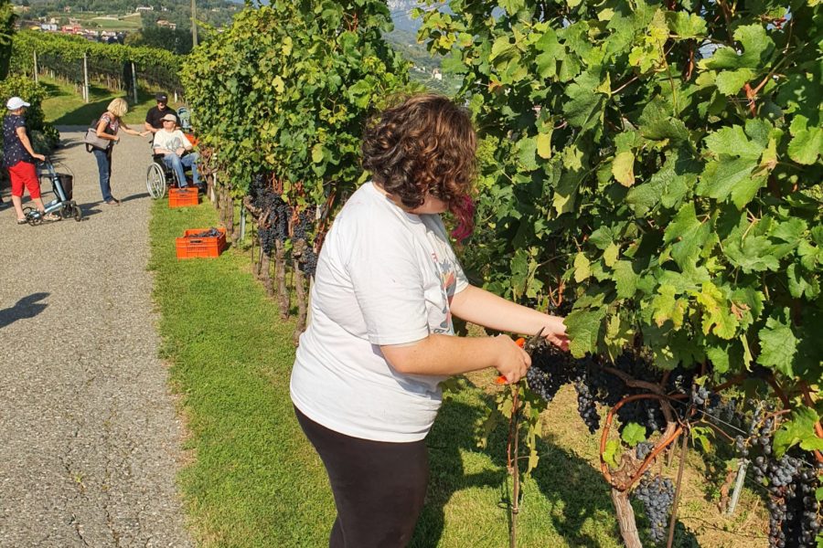 Vendemmia festiva – 30 anni Telethon SI + 70 anni Cantina Sociale di Mendrisio