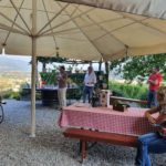 Vendemmia festiva – 30 anni Telethon SI + 70 anni Cantina Sociale di Mendrisio