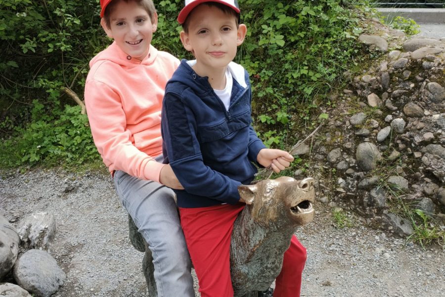 Uscita allo zoo (Tierpark) di Goldau