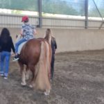 In sella con la MGR
